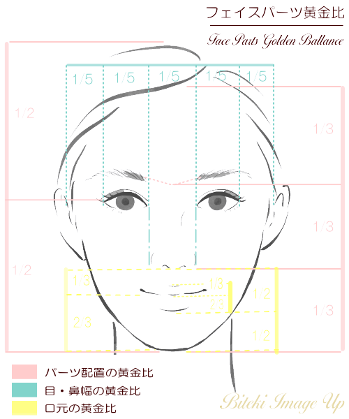顔型分析
